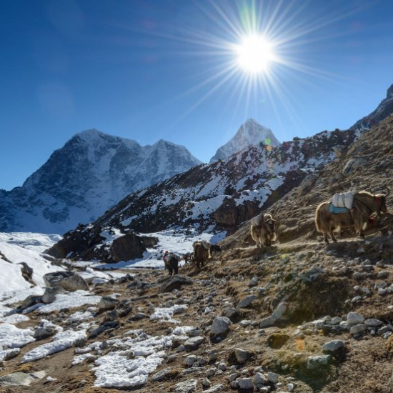 珠穆朗玛峰大本营体验